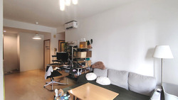 The Levelz (D10), Condominium #521965921